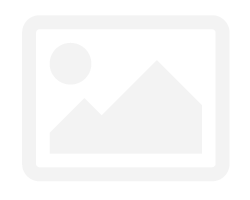 Greystone Coil Spring Assister: GE14: (pair)