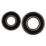 Erde & Daxara Bearing Kit - 6004 & 6202 Bearings